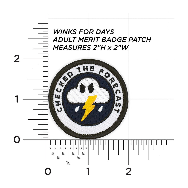 Adulting Merit Badge Embroidered Iron-On Patch (Checked The Forecast)