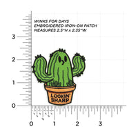 Lookin' Sharp Cactus measurements